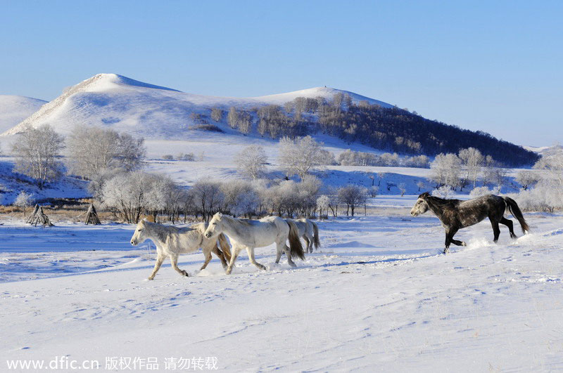 China's Top 8 snow destinations
