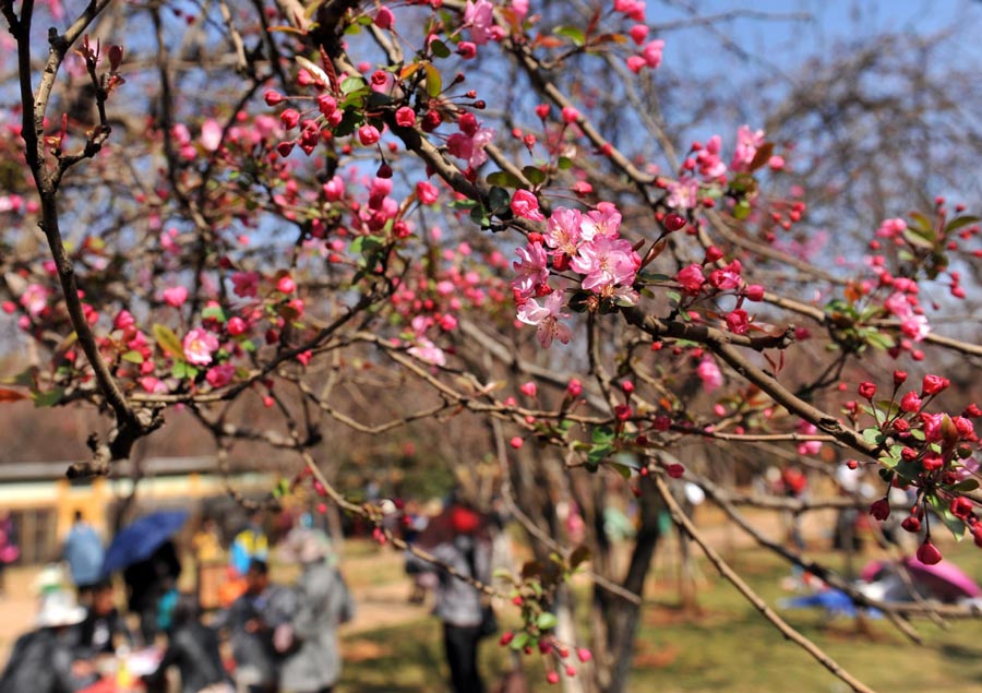 Kunming: spring is in the air