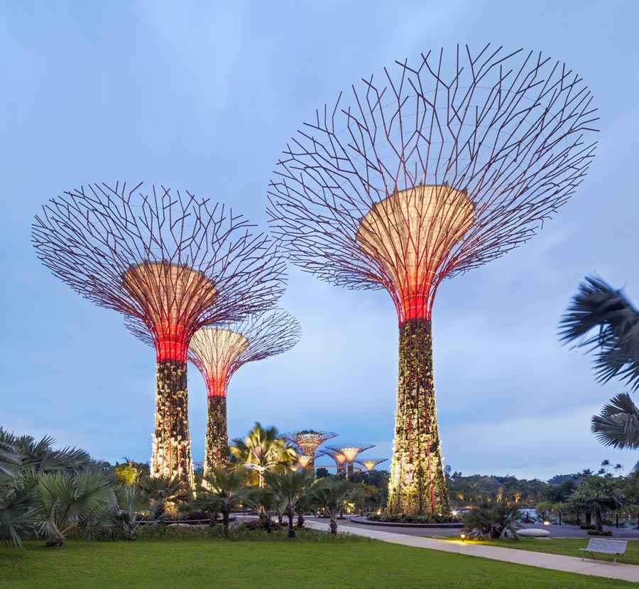 Essence of Singapore