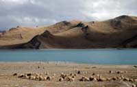 Winter holidays in Tibet worth the trip