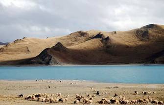 In pictures: Gedan Songzanlin Monastery