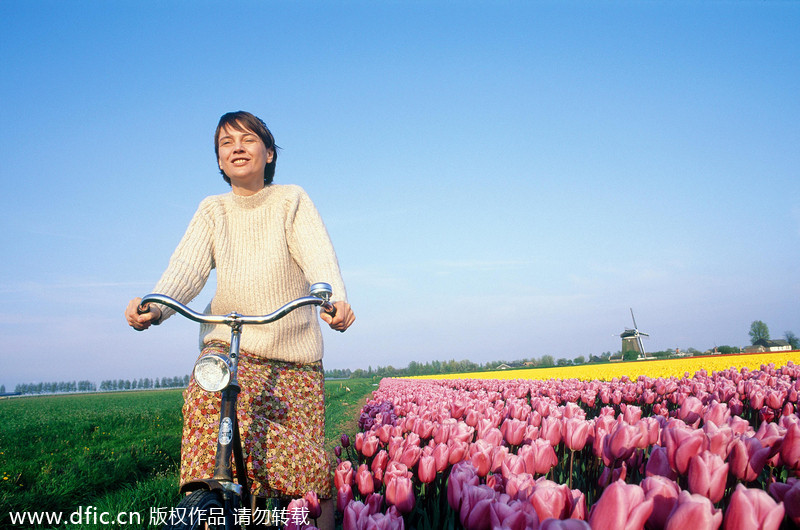 The Netherlands, a kingdom of tulips