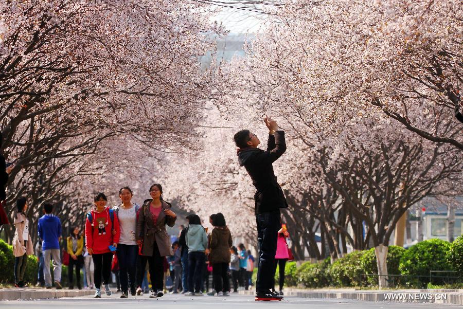 People embrace spring in Chinese cities