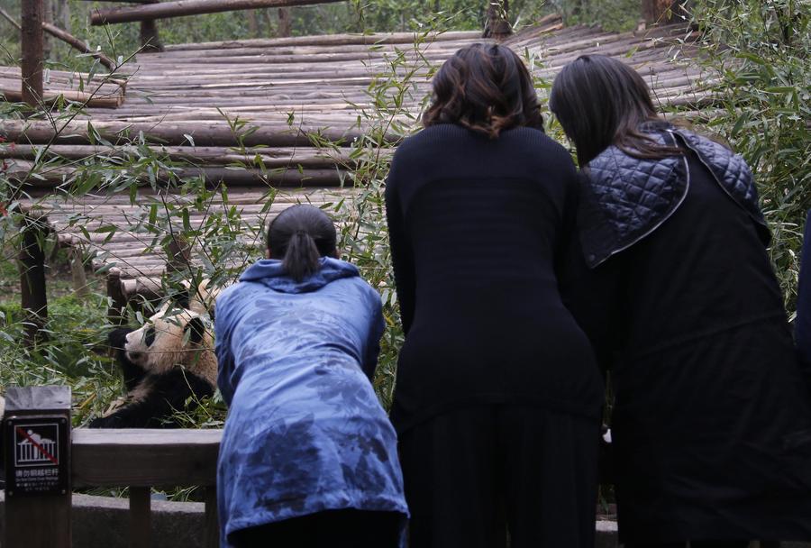 US first lady visits giant pandas