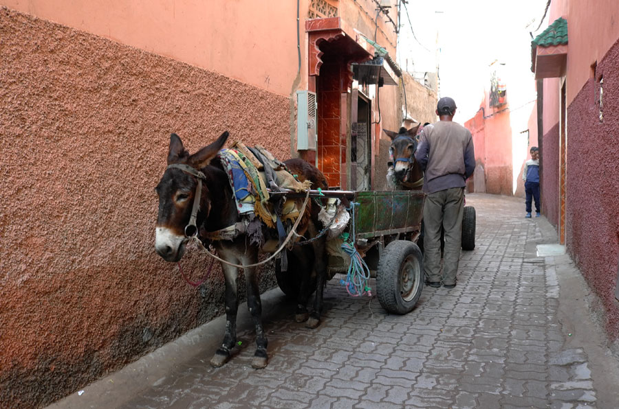Morocco,another paradise