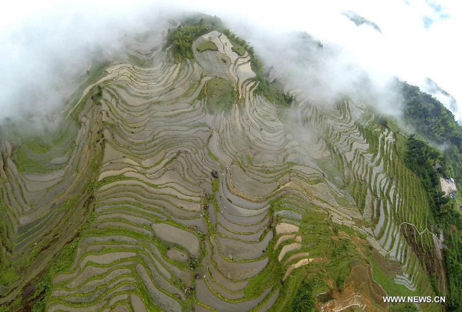 Terraced fields in Zhejiang