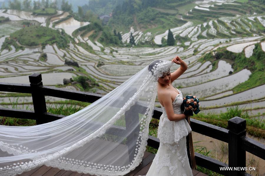 Terraced fields in Zhejiang