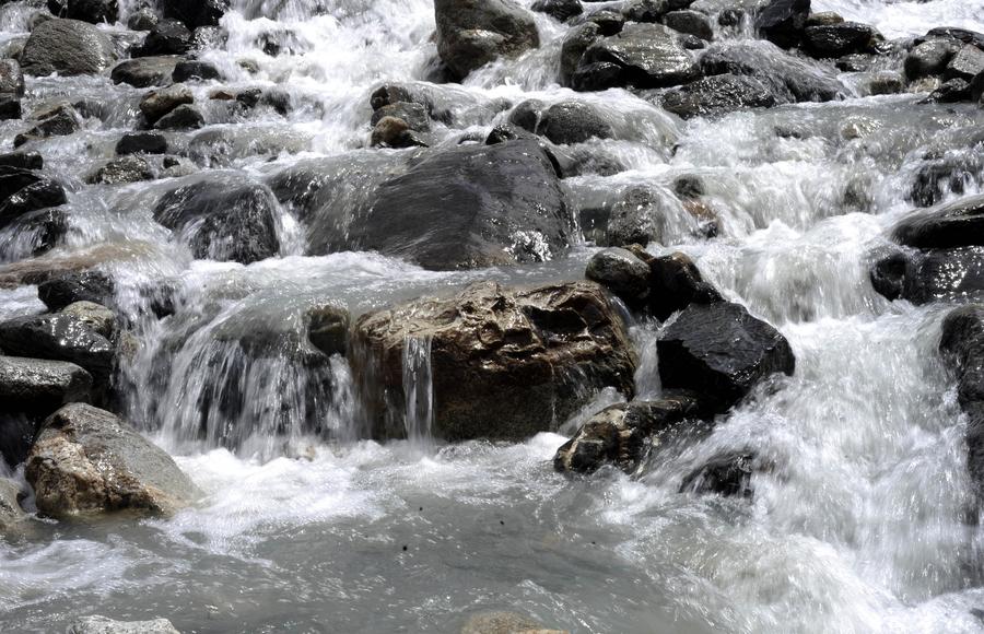 Lalu Wetland Reserve in Lhasa