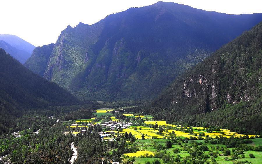 Scenery of Nyingchi prefecture in Tibet