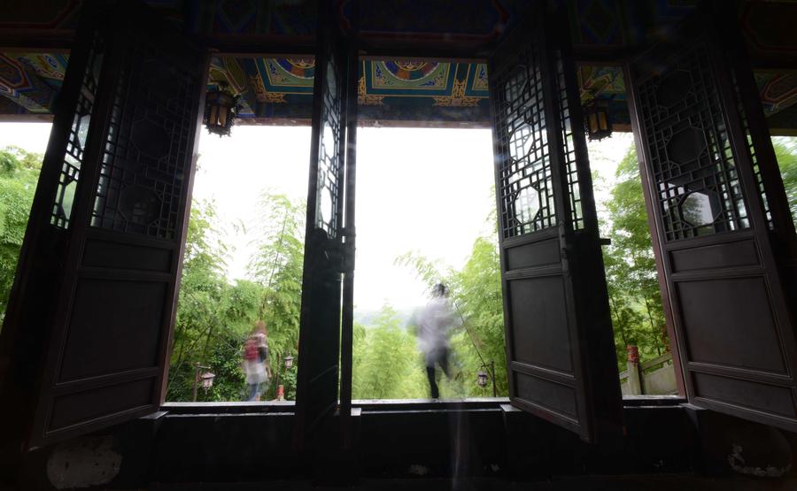 Scenery of Bamboo Sea in Sichuan