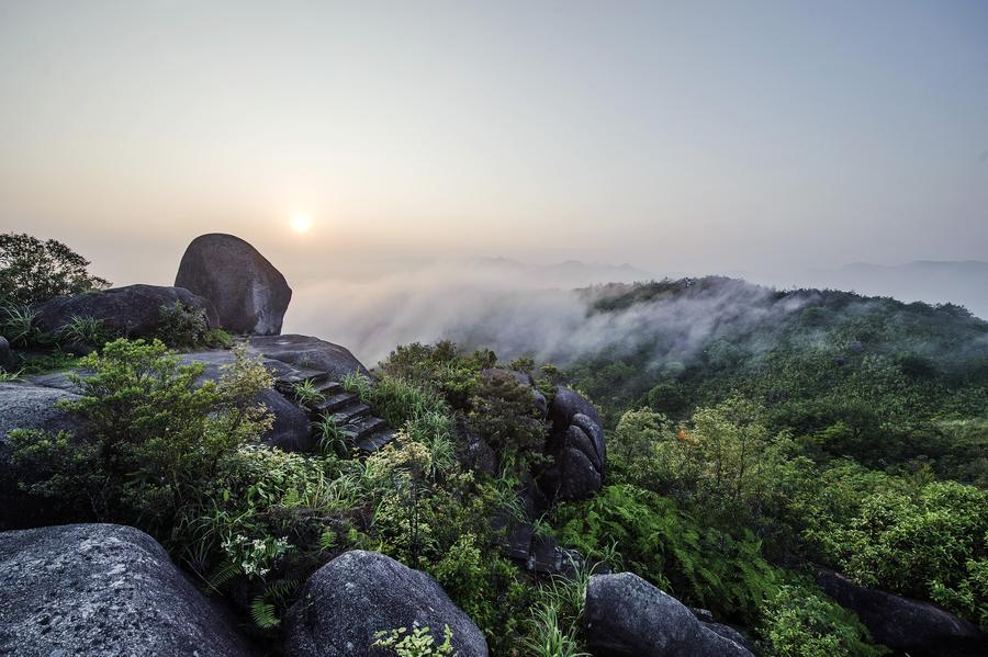 Meihua Mountain Nature Reserve in SE China