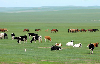 Oasis scenic spot in Gobi Desert, NW China