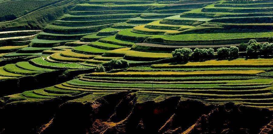 Scenery of terrace fields in Dingxi, NW China
