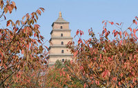 Shaanxi highlights its natural attractions