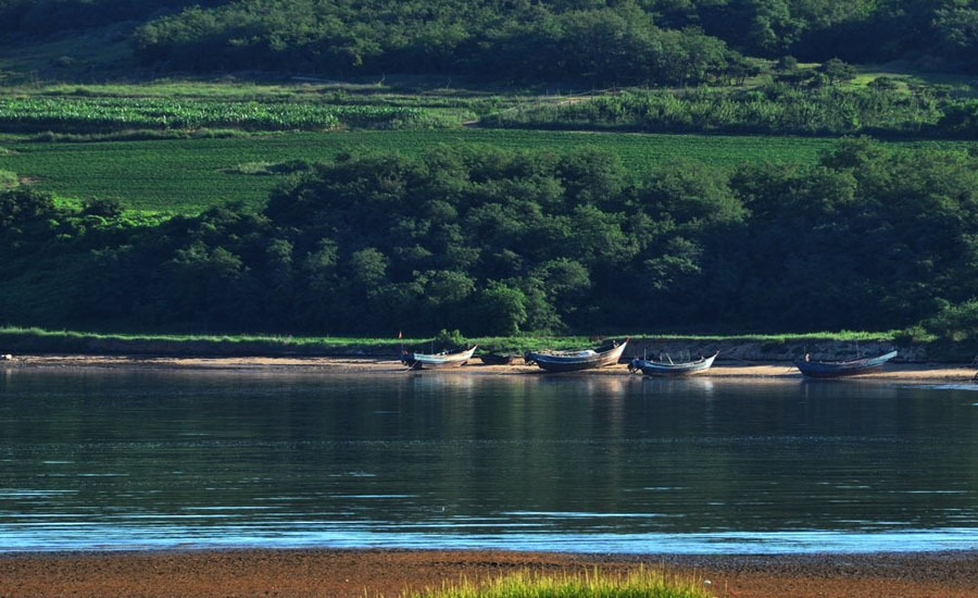 Beautiful summer scenery: Juhua Island