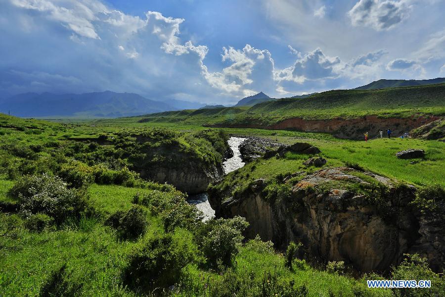 Summer scenery of grassland in Qilian Mountains attracts tourists