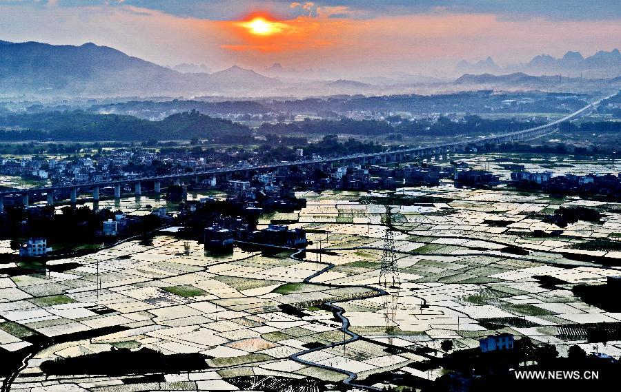 Paddy fields in Guangxi's Baisha village