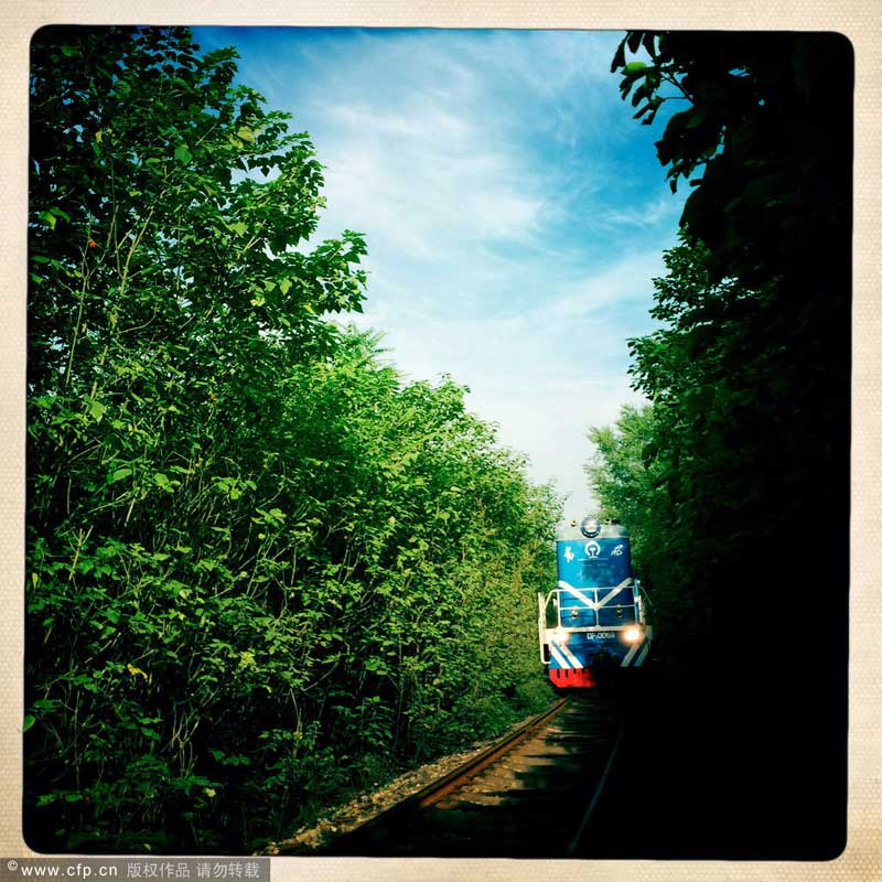 Railway attracts adventurers for photography