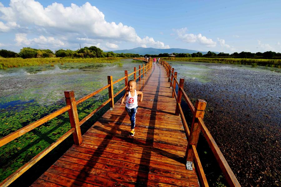 Scenery at wetland of Heixiazi Island in NE China