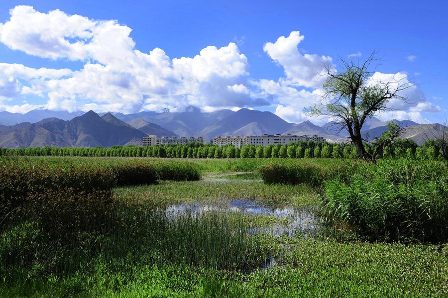 Top wetlands in China-beauty of diversity