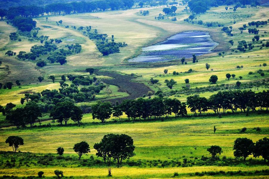 Top wetlands in China-beauty of diversity