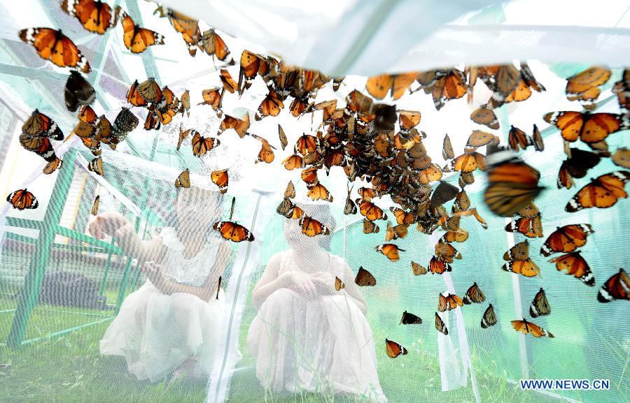 Butterfly carnival held in E China's Anhui