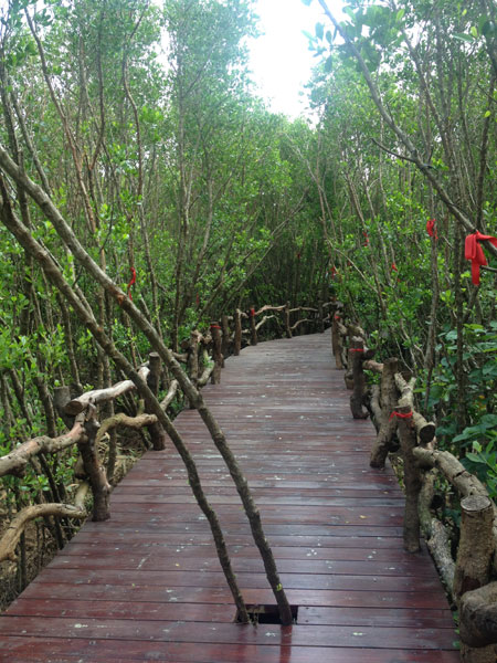 Mangrove Bay Wetland in Hainan will open in October