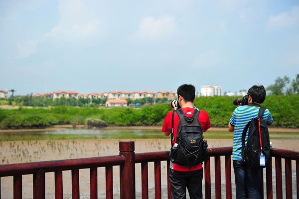 Mangrove Bay Wetland in Hainan will open in October