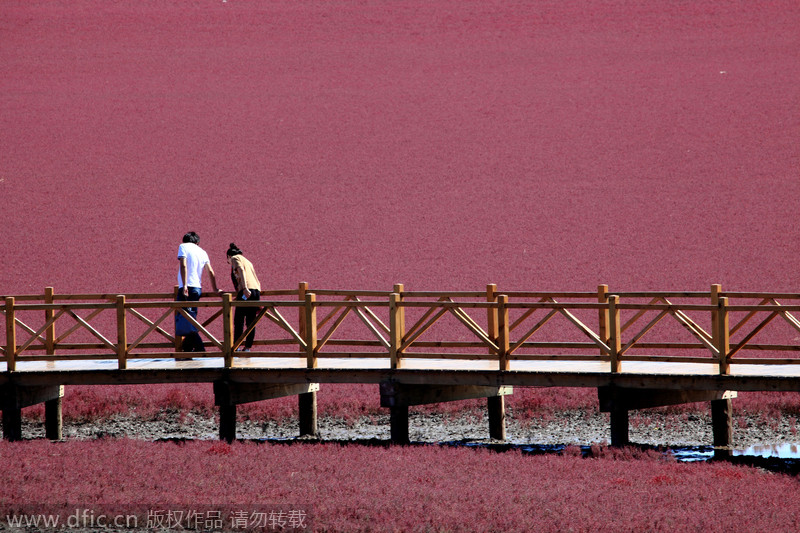 China's top 10 ideal autumn getaways