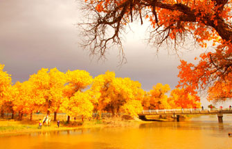 16th Beijing International Tourism Festival kicks off