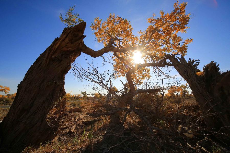 Autumn fairy tales in China