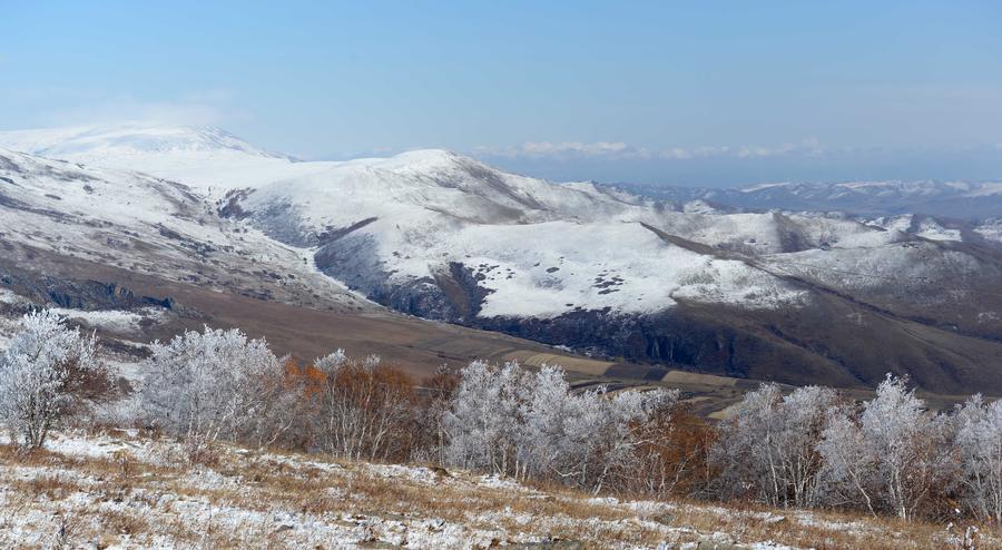 Autumn rime seen in Inner Mongolia