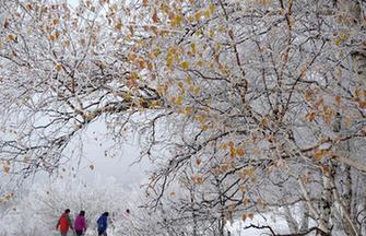 Scenery of Medog county in Tibet