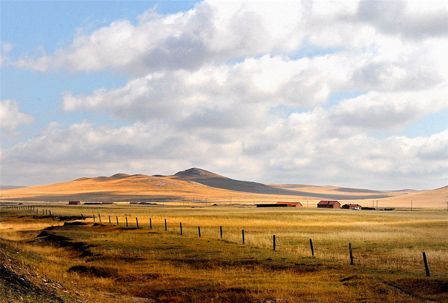 Autumn scenery of Xilinguole Grassland in Inne