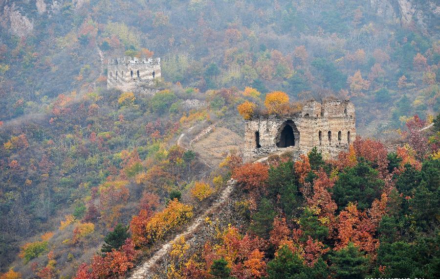 Autumn scenery of Yumuling Great Wall in Hebei