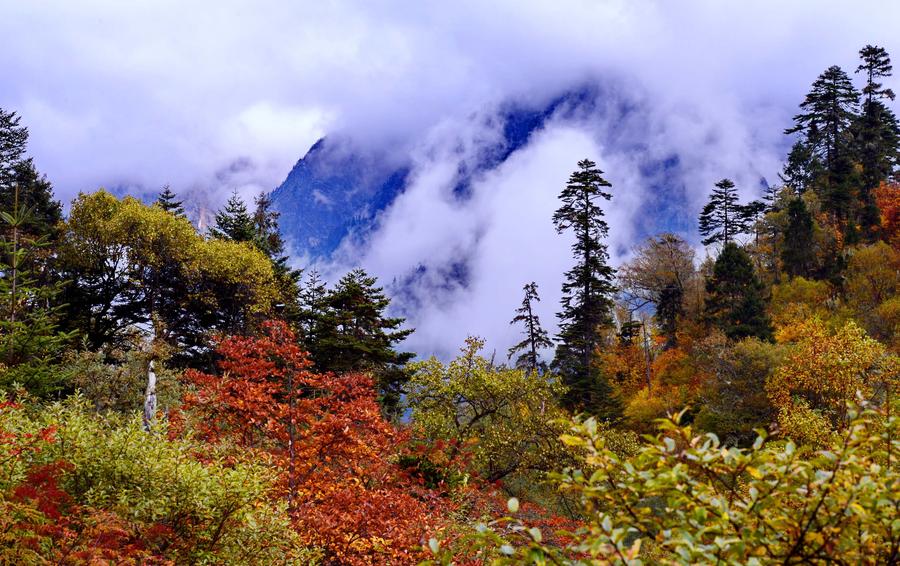 Amazing scenery of Yalu Zangbu Giant Canyon in Tibet