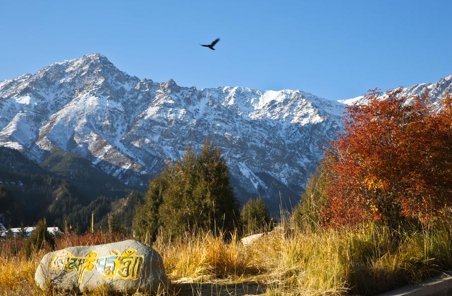 Autumn scenery in Qilian Mountains