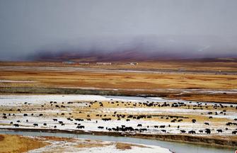 Scenery of tidal wetland in Tibet