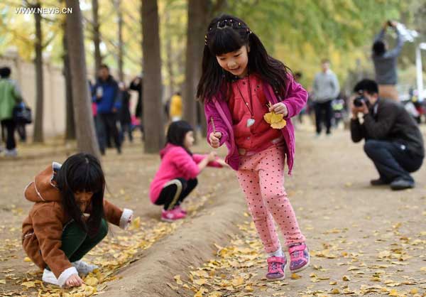 Fun in the leaves