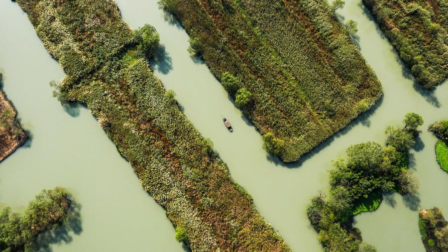 Autumn scenery in Xixi Wetland