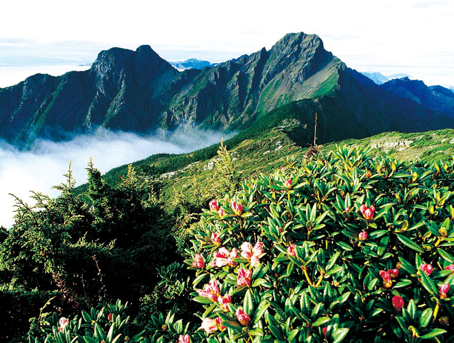 The highest mountain in Taiwan - Jade Mountain