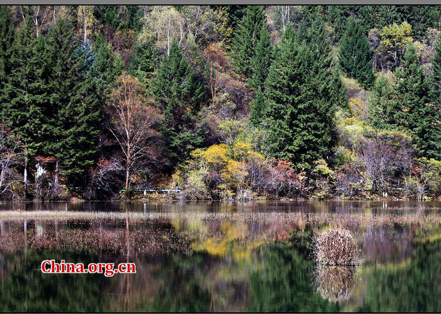 Enchanting autumn scenery of Jiuzhaigou