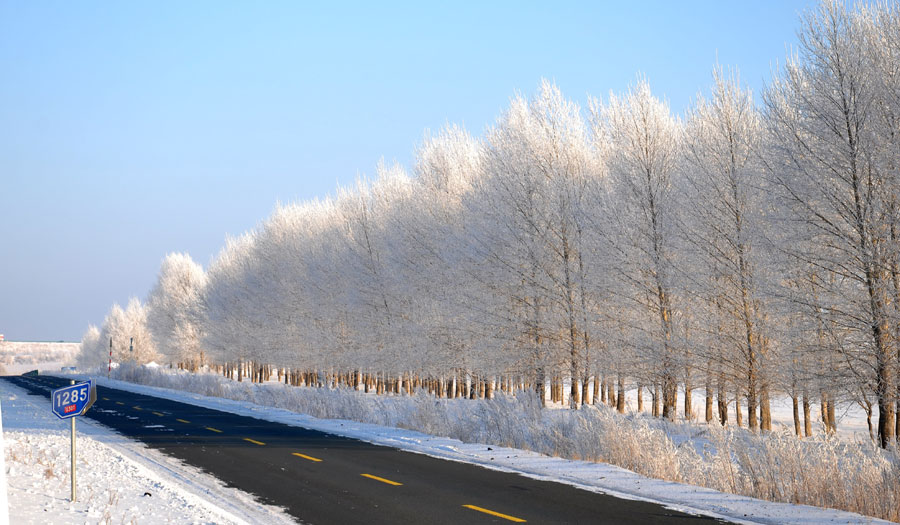 Rime scenery in Hulun Buir Prairie