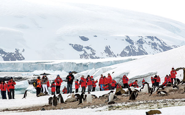 Polar magic