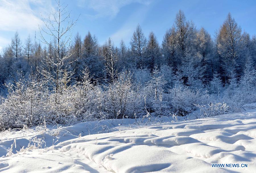 Winter scenery of Moridaga Forest Park