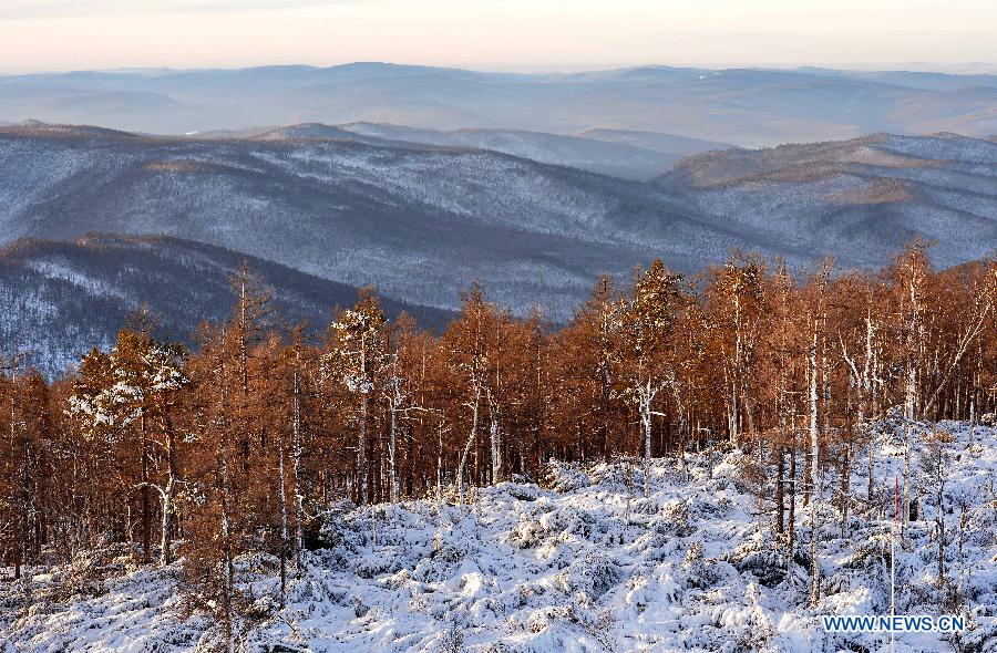 Winter scenery of Moridaga Forest Park