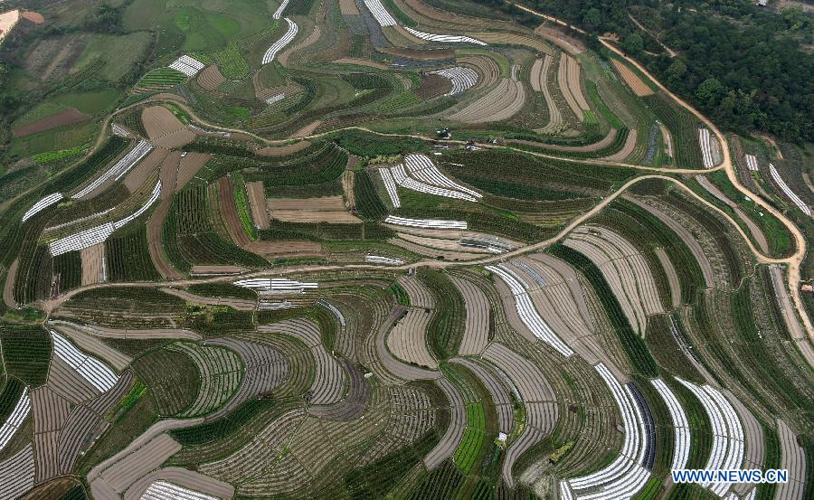 Aerial view of rural areas in Nanning, Guangxi
