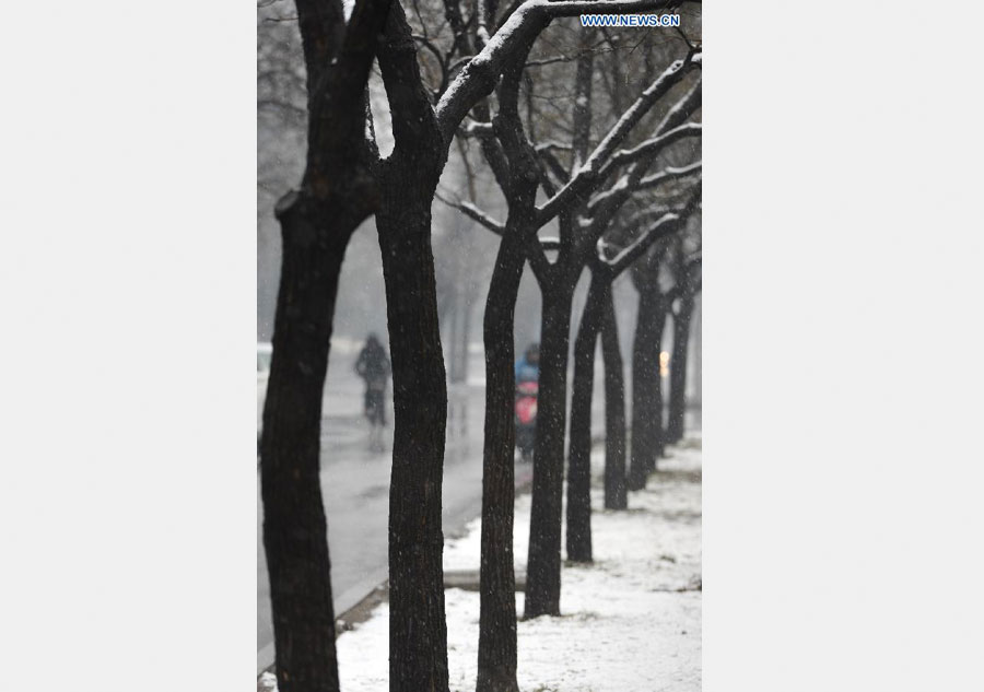 Snowfall hits Beijing amid Spring Festival