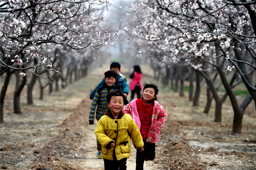 Spring flowers bloom across China