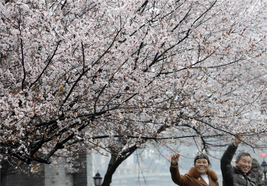 Spring flowers bloom across China